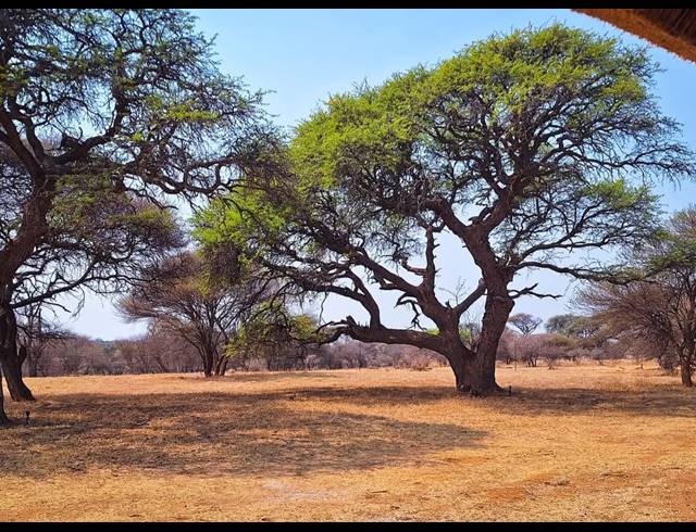 260HA FARM FOR SALE IN BEESTEKRAAL AH